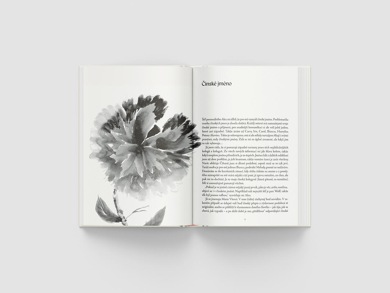 [2/2] Ludmila Šimková, 2024. Gwailou. Knihu doplňují tradiční čínské ilustrace, které má na svědomí sama autorka.